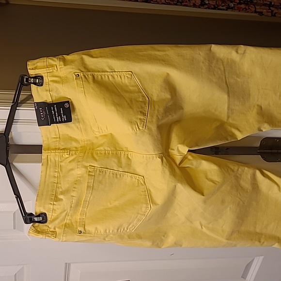NWT Curve Apparel Jeggings - Picture 3 of 6